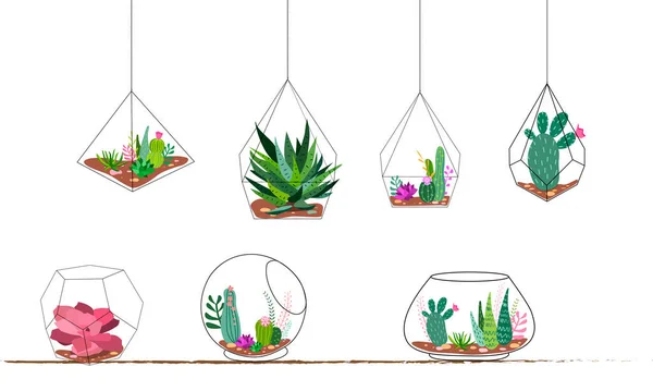 Egy Sor Geometrikus Virágárium Növényekkel Zamatos Növényekkel Kaktuszokkal Díszített Geometriai — Stock Vector