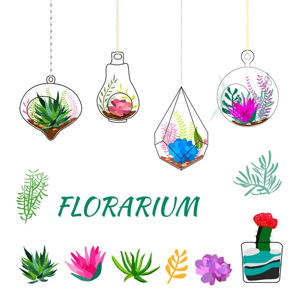 Set Von Geometrischen Florarien Geometrische Terrarien Mit Pflanzen Sukkulenten Und — Stockvektor