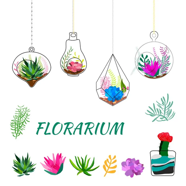 Geometrik floraryum seti. Geometrik teraryumlar bitkiler, sulandırıcılar ve kaktüslerle dolu. İskandinav tarzı ev dekorasyonu. Cam kristal floraryumlar beyaz arkaplanda izole.