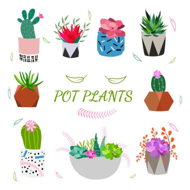 Ev ve ofis için saksılarda bir dizi kapalı bitki. Kaktüs, aloe ve diğer sulu bitkiler de dahil olmak üzere saksılarda bulunan büyük bir ev bitkisi koleksiyonu. Karalama bitkilerinin vektör koleksiyonu.