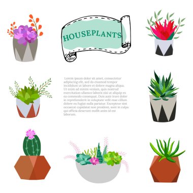 Ev ve ofis için saksılarda bir dizi kapalı bitki. Kaktüs, aloe ve diğer sulu bitkiler de dahil olmak üzere saksılarda bulunan büyük bir ev bitkisi koleksiyonu. Karalama bitkilerinin vektör koleksiyonu.