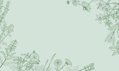 Şifalı bitkiler ve şifalı bitkiler. El yapımı çiçekler ve bitkiler koleksiyonu. Botanik bitki çizimi. Antika şifalı bitkiler çizimi.. 