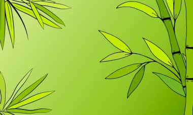 Bambu saplı ve yapraklı güzel bir arka plan. Bambu ağacı yaprakları. El yapımı botanik koleksiyonu. Bambu parçalarının, dalların ve yaprakların yeşil arka planda çizimi. 