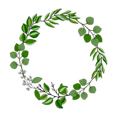 Büyük okaliptüs yaprakları ve dalları. Okaliptüs dalları koleksiyonu. Yeşilliğin temsili. Tohumlu okaliptüs.