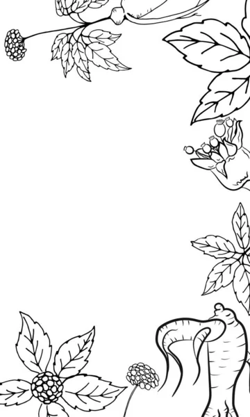人参叶和根的提取 人参根和浆果向量绘图 药用植物的草图 线性图形设计 — 图库矢量图片