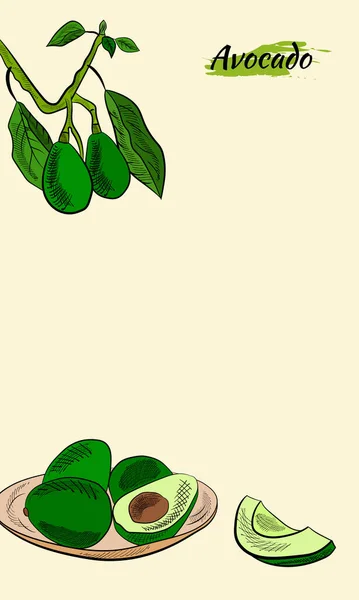 ベクトル手描きアボカドとスライスセット アボカドオイルボトルのスケッチ 全体のアボカドのスケッチ スライスし アボカドの植物イラスト ジューシーなトロピカルフルーツ ラベル ポスター プリントに最適 — ストックベクタ