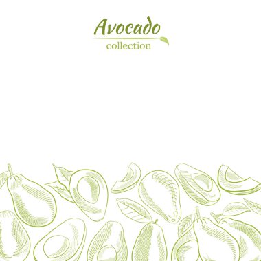 Avokado ve dilimler hazır. Avokado çizimi, dilimlenmiş ve yapraklar. Avokadonun botanik çizimi. Sulu tropik meyveler. Etiketler, posterler, baskılar için harika..