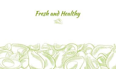 Avokado ve dilimler hazır. Avokado çizimi, dilimlenmiş ve yapraklar. Avokadonun botanik çizimi. Sulu tropik meyveler. Etiketler, posterler, baskılar için harika..