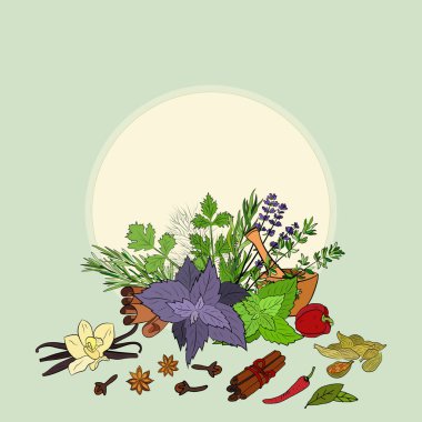Bitki ve baharat seti. Doğal baharat ve kiraz bitkilerinin eskizi. Aromatik bitkilerin botanik çizimleri. 