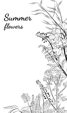 El yapımı kır çiçekleri ve otlar. Yaz çiçekleri, bitkiler ve yaprakların çizimi. Çayır bitkileri koleksiyonu. Botanik illüstrasyon. Yaz ve bahar desing için dekoratif elementler.