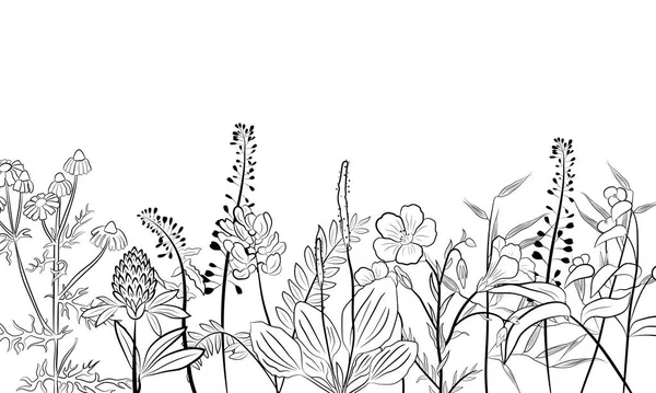 El yapımı kır çiçekleri ve otlar. Yaz çiçekleri, bitkiler ve yaprakların çizimi. Çayır bitkileri koleksiyonu. Botanik illüstrasyon. Yaz ve bahar desing için dekoratif elementler.