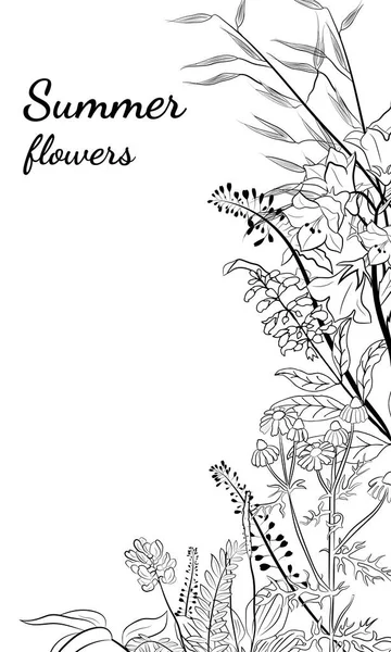 Yapımı Kır Çiçekleri Otlar Yaz Çiçekleri Bitkiler Yaprakların Çizimi Çayır — Stok Vektör
