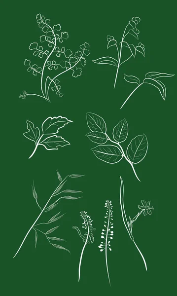 手の野生の花やハーブのセットを描いた 夏の花 ハーブ 葉のスケッチ 牧草地植物のコレクション 植物図 夏と春のデザインの装飾要素 — ストックベクタ