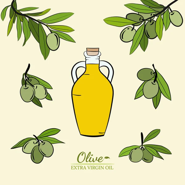 Olivové Ovoce Větve Strom Láhev Olivového Oleje Náčrtky Set Soubor — Stockový vektor