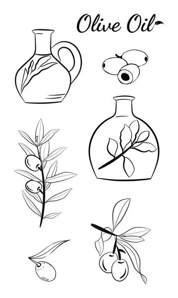 橄榄果 枝条树和橄榄油瓶子素描集 橄榄枝的一组插图 橄榄枝手绘草图 横幅的设计要素 — 图库矢量图片
