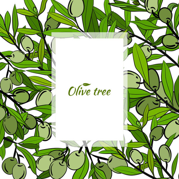 Template for design with olive fruits and tree branches. Olive tree branch hand drawn illustration in sketch style. Design elements for label, emblem, banner.