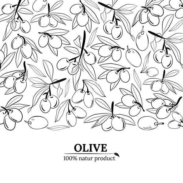 用橄榄果和树枝设计的模板 橄榄树枝干手绘草图 横幅的设计要素 — 图库矢量图片