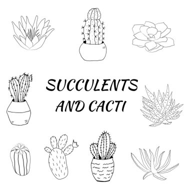 Set of hand drawn cacti and succulents.Collection of plants in pots. Spiny desert plants, cactus flowers and tropical plants. Vector collection of doodle plants.