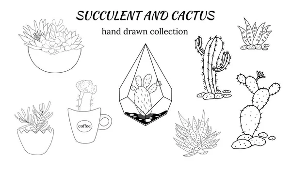 Set Hand Drawn Cacti Succulents Collection Plants Pots Spiny Desert — Stock vektor