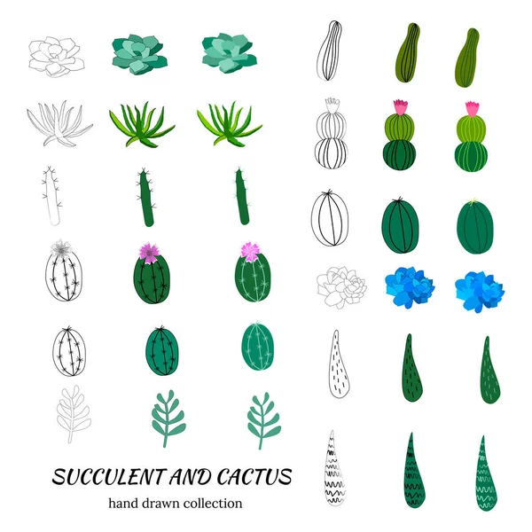 Set Hand Drawn Cacti Succulents Spiny Desert Plants Cactus Flowers — Stock vektor