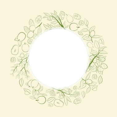 Meyveli, çiçekli ve yapraklı kokokoba dalları. Jojoba bitki koleksiyonu. Vektör çizimi botanik. Menü, etiket, paketleme tasarımı için elementler.