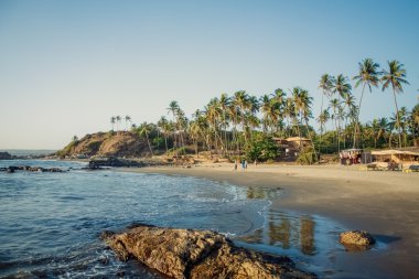 Hindistan Goa plaj doğa deniz