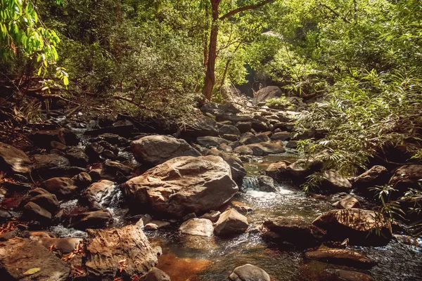 Hindistan Goa plaj doğa deniz