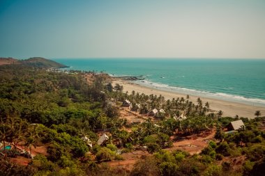Hindistan Goa plaj doğa deniz
