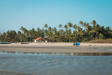 Hindistan Goa plaj doğa deniz