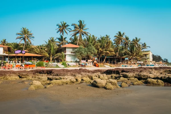 Hindistan Goa plaj doğa deniz