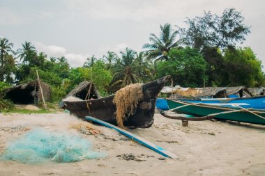 Hindistan Goa plaj doğa deniz