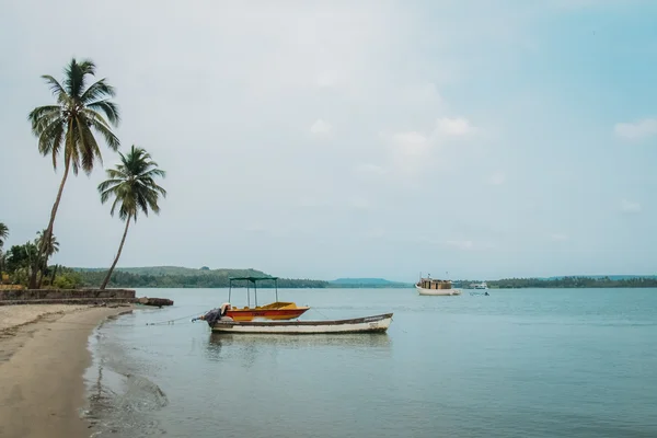 インド ゴアのビーチの自然の海 — ストック写真