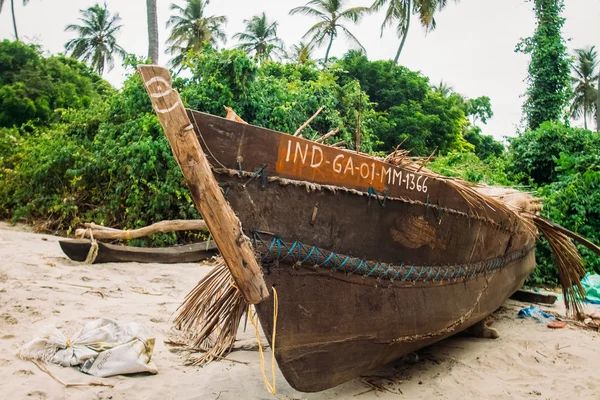 Hindistan Goa plaj doğa deniz