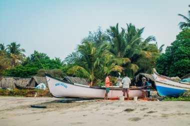 Hindistan Goa plaj doğa deniz