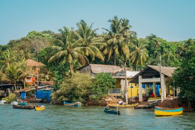 Hindistan Goa plaj doğa deniz