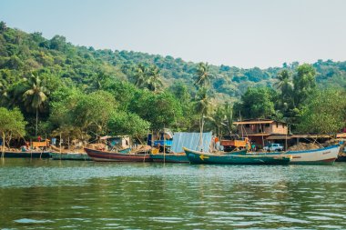 Hindistan Goa plaj doğa deniz