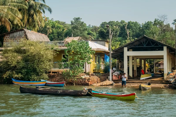 Hindistan Goa plaj doğa deniz