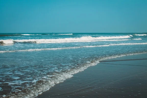 Hindistan Goa plaj doğa deniz