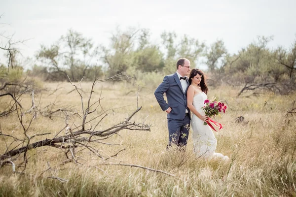 Bröllop och kärlek berättelse i naturen — Stockfoto