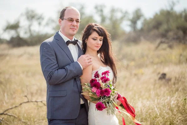 Wedding and love story in nature — Stock Photo, Image