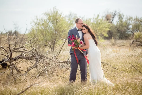 Wedding and love story in nature — Stock Photo, Image