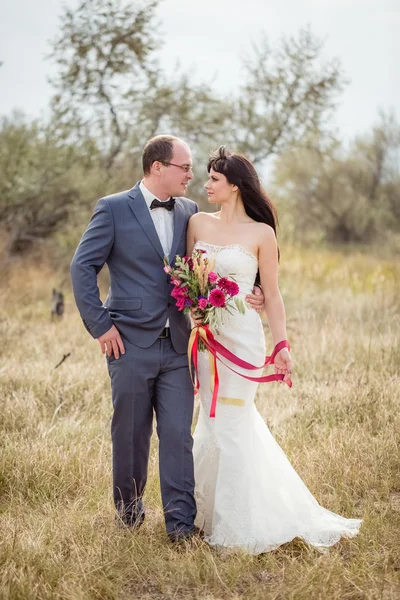 Wedding and love story in nature — Stock Photo, Image