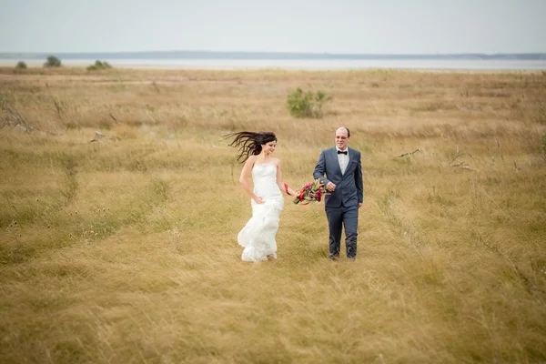 Hochzeit und Liebesgeschichte in der Natur — Stockfoto