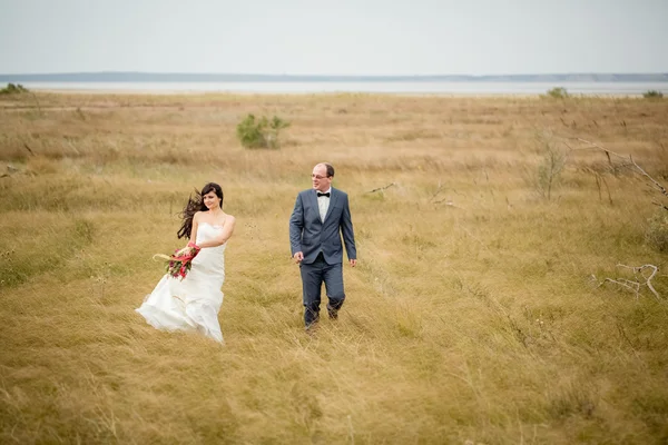 Wedding and love story in nature — Stock Photo, Image