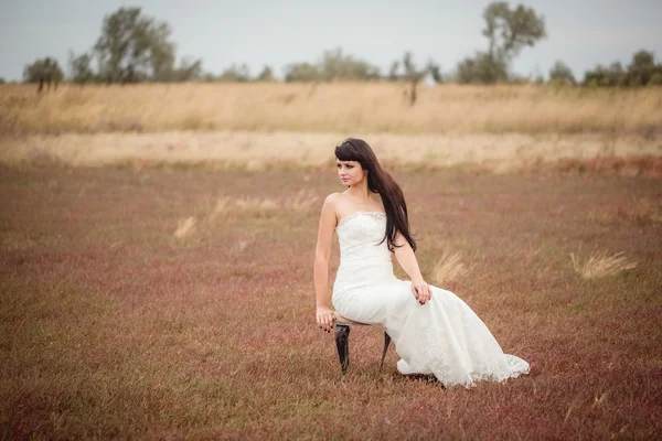 Wedding and love story in nature — Stock Photo, Image