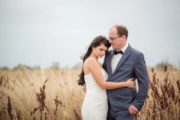 Wedding and love story in nature — Stock Photo, Image