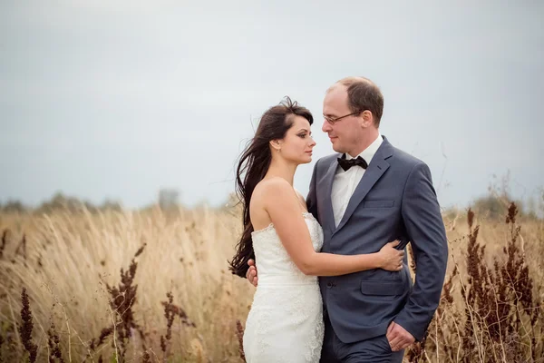 Wedding and love story in nature — Stock Photo, Image