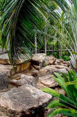 Pattaya Tayland seyahat