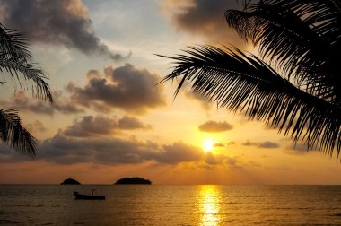 Pattaya Tayland seyahat