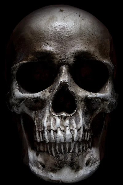 Crânio humano assustador isolado no fundo preto Fotos De Bancos De Imagens